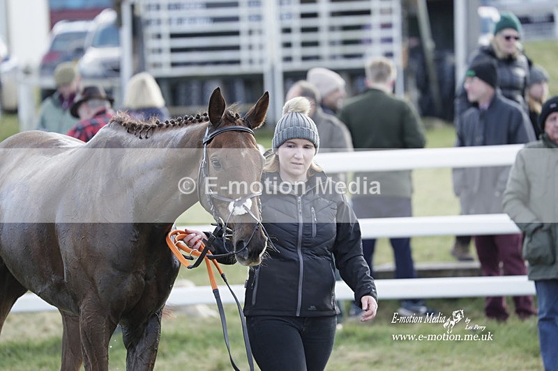PtP 260223 672 - South & West Wilts Point-to-Point Larkhill 26/02/23
