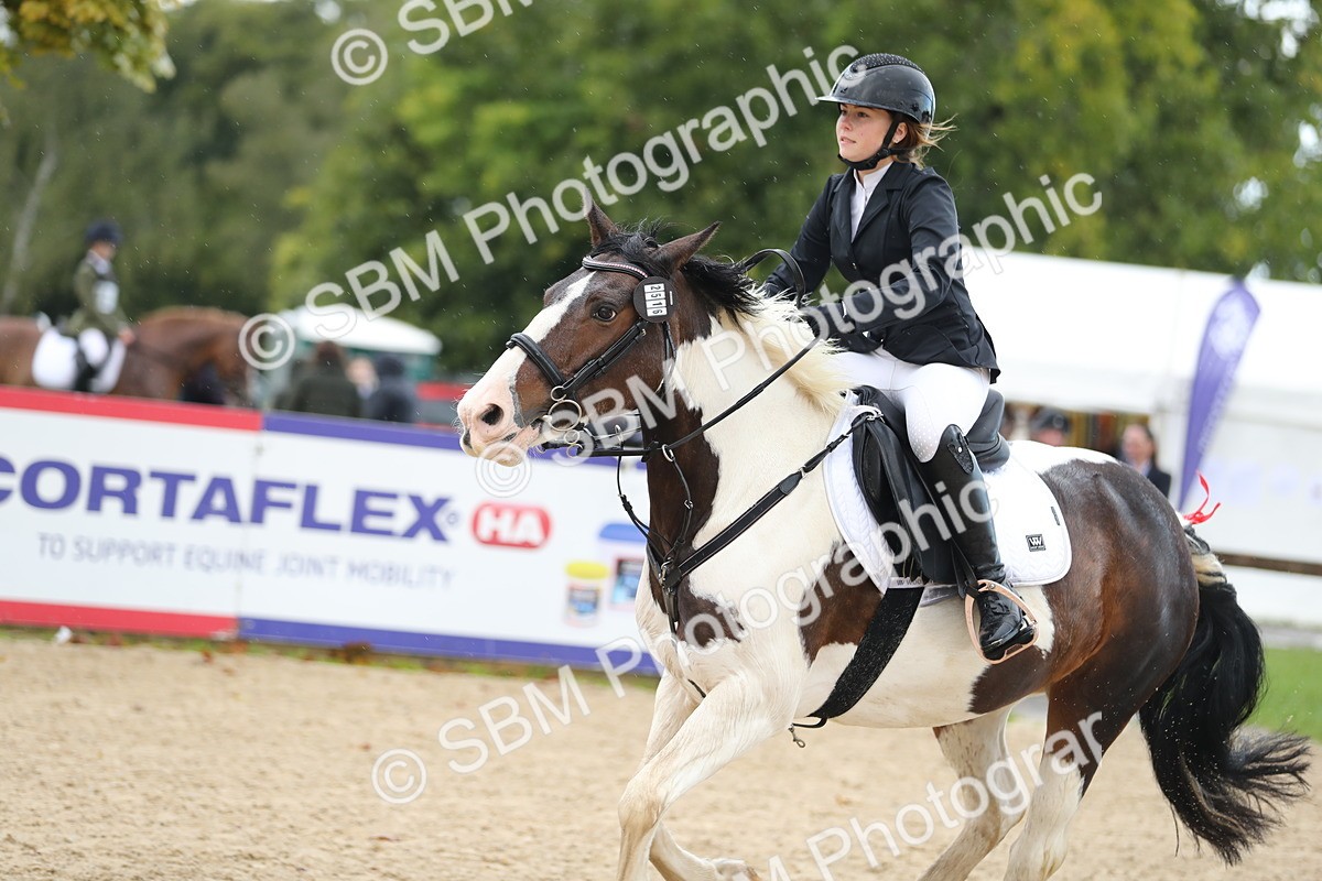 SBM_37211 - J20 - Junior Horse 50cm Championship