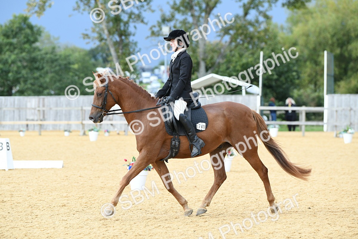 SBM_10949 - D28 Elementary Taster Elementary 42