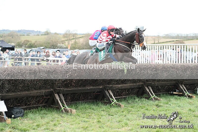 PtP 130425 285 - Edgecote Races 13/04/25