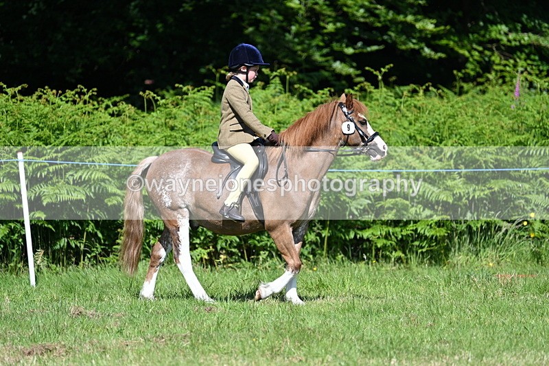WJ7_0663 - Class 8 First Rally Pony