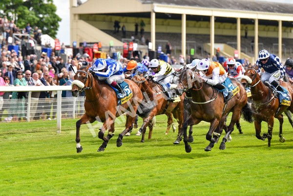 170523-Race 2-Bielsa-8616 - Race 2 2.25pm Churchill Tyres Handicap