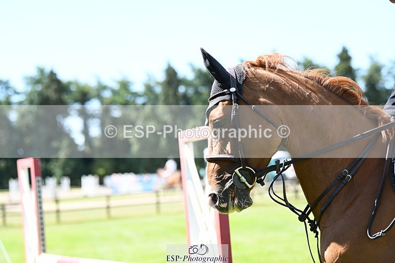 250703A-102807-00482 - Cls 11 5 Year Old