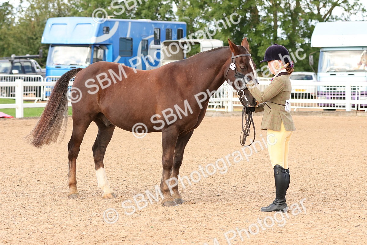 SBM_09202 - Class 204 - Young Handler