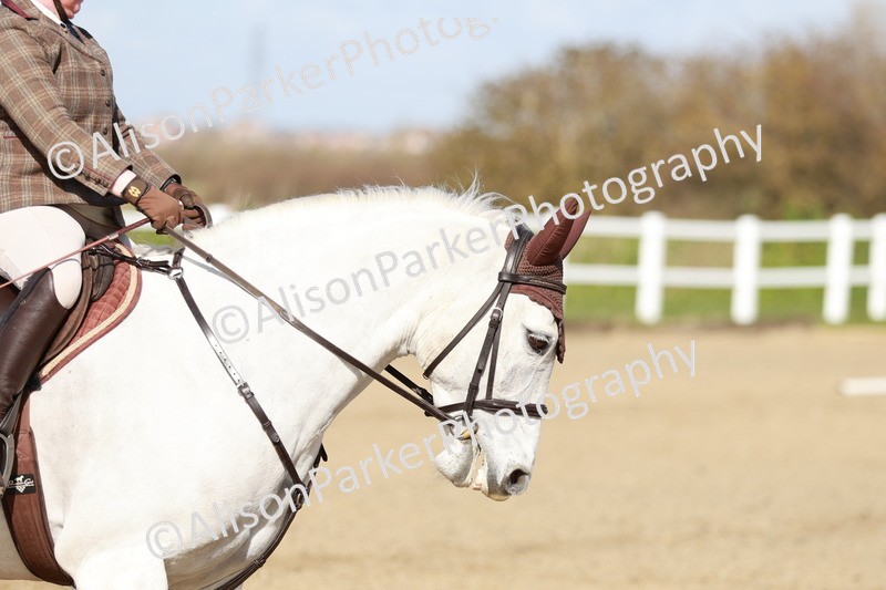 20260314-2816 - DR3 - Prelim 1