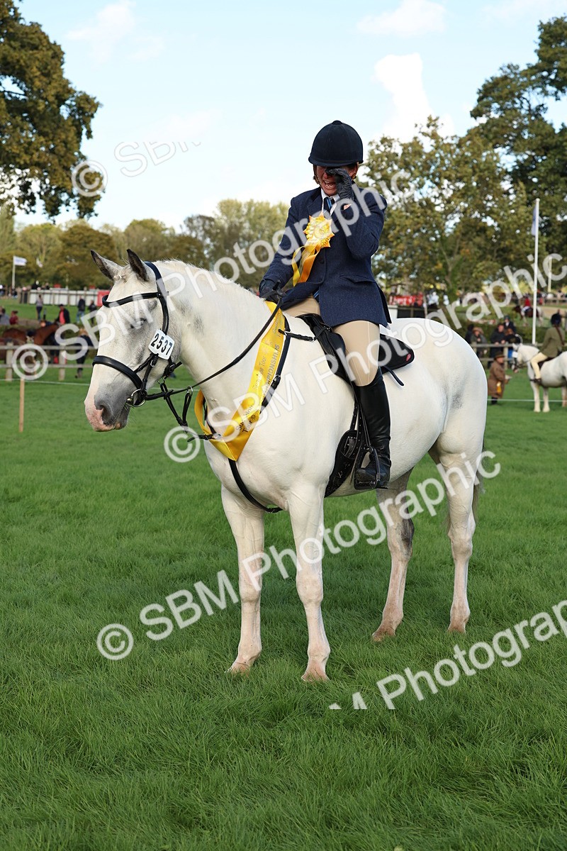 SBM_50180 - S34 - Novice & Newcomers Working Hunter
