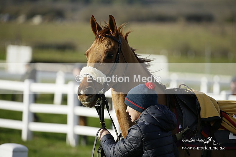 PtP 281121 008 - Hursley Hambledon Point-to-Point Larkhill 28/11/21