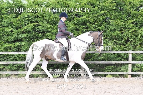 BPP_7391 - RING 1  (RIDDEN HORSES / IN HAND / VETERAN ETC)