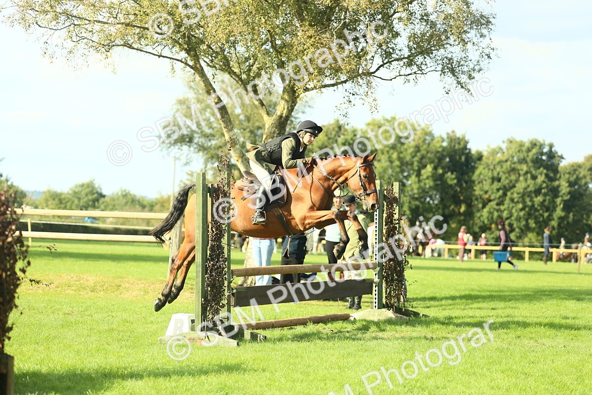SBM_50569 - S33 - Working Hunter & Working Show Horse