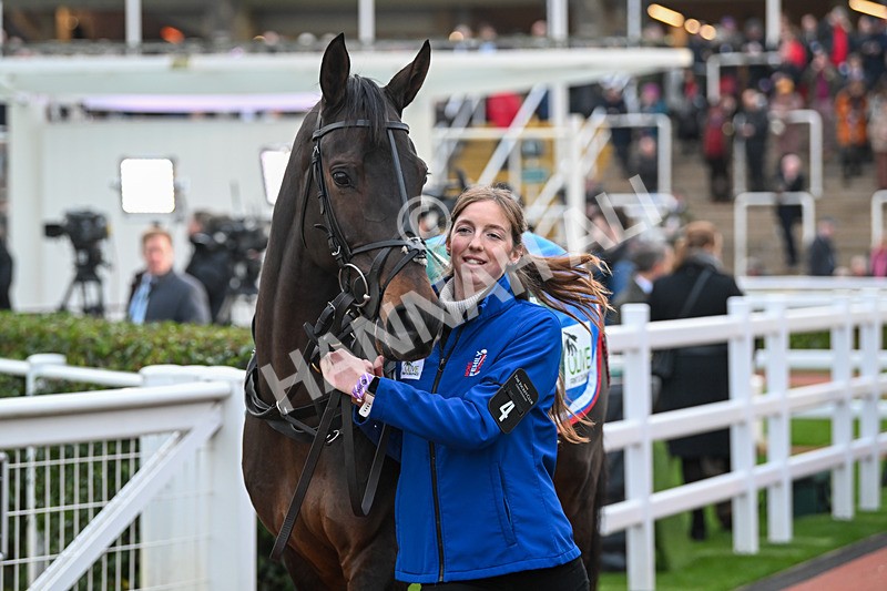 161124-Race 6-Paddock-Major Fortune-1140