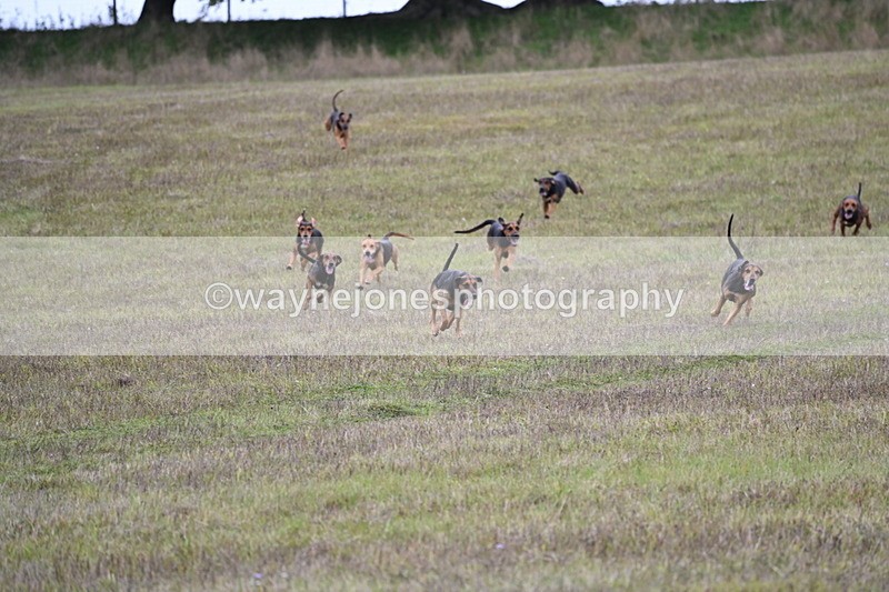 WJ6_0868 - Camera 2 Line 2