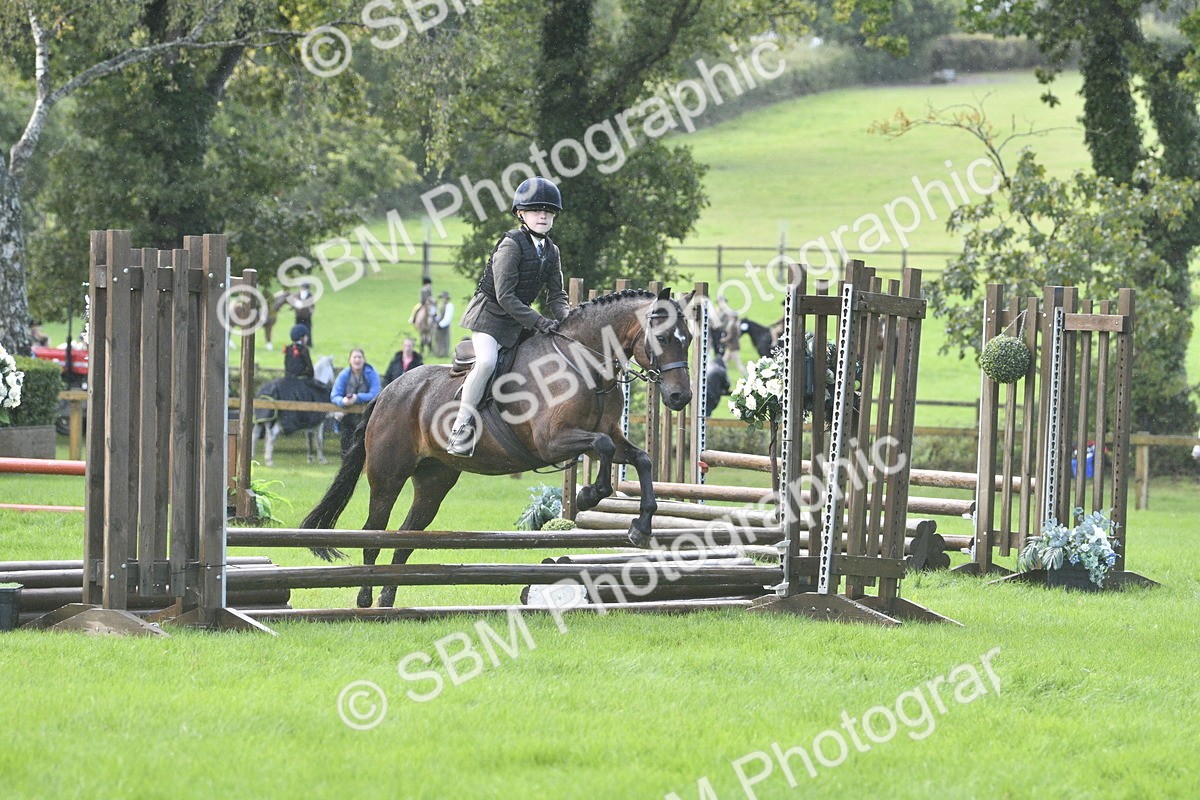 SBM_37175 - S31 - Novice & Newcomer Working Hunter Pony