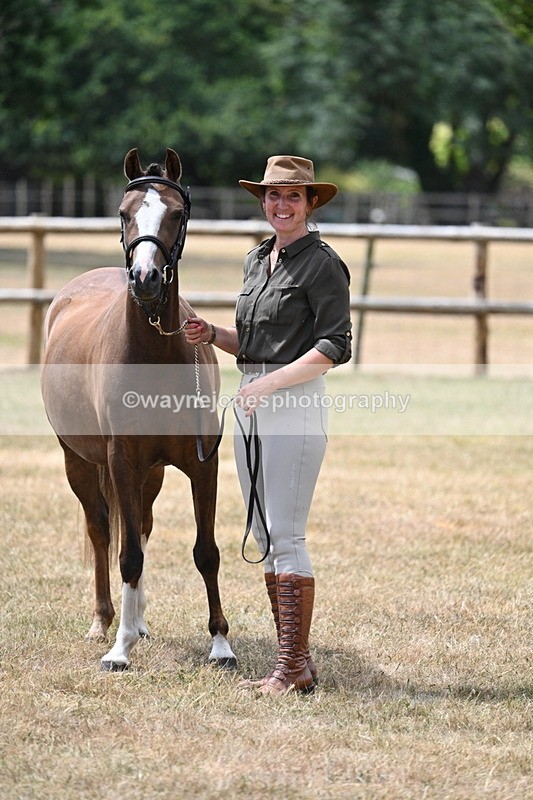 WJ7_2093 - Prettiest Mare Champs