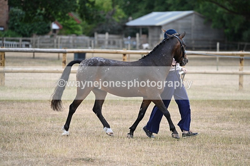 WJ6_8549 - Class 10 Coloured in Hand