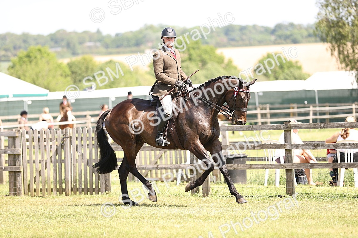 SBM_14867 - Class 78 - LIHS BSHA Open Racehorse & Show Horse