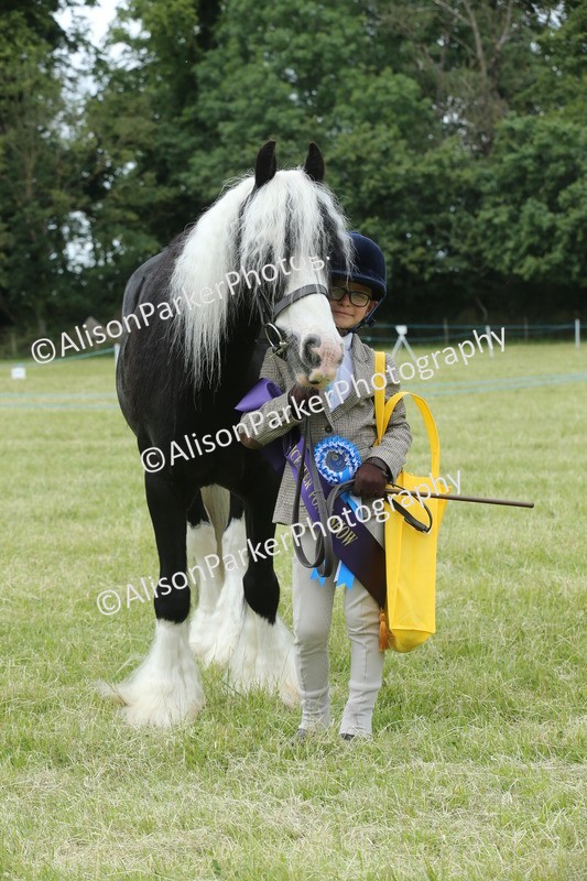 20260614-4336 - Class 18 - Best Junior Handler