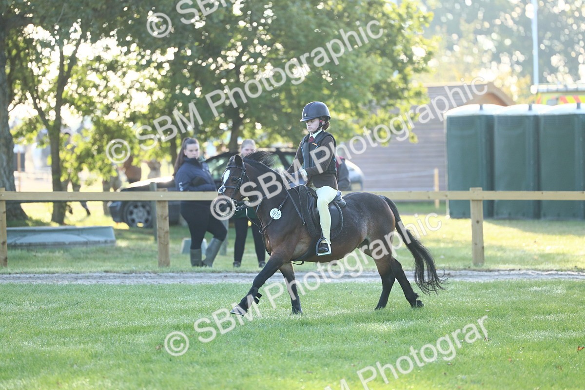 SBM_31875 - S28 - Nursery Stakes Working Hunter Pony