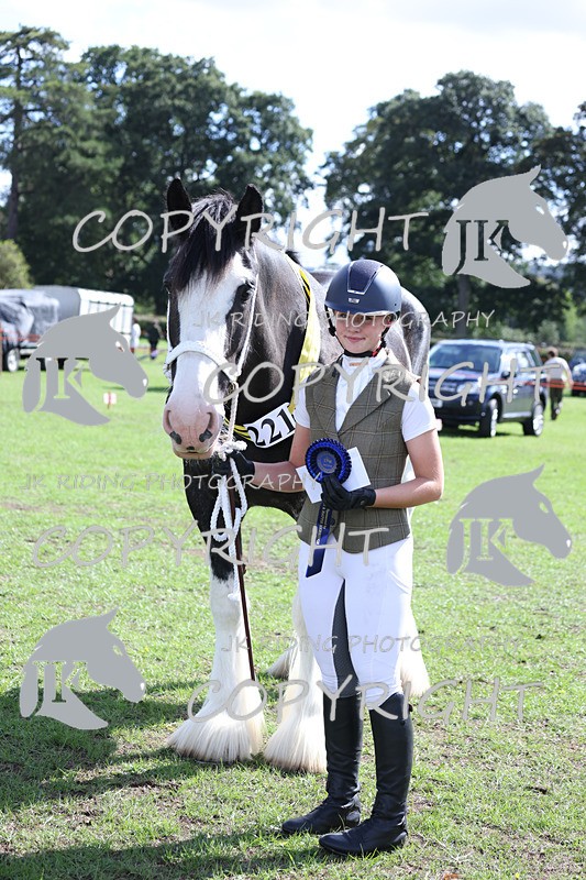 APP_3464 - Class 6 Young Handlers