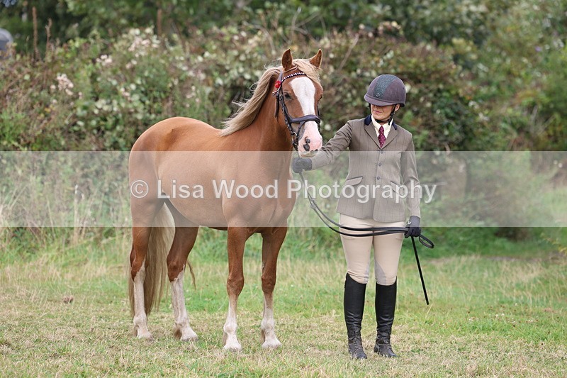 3E7A4918 - Class 16: Best Grass Kept