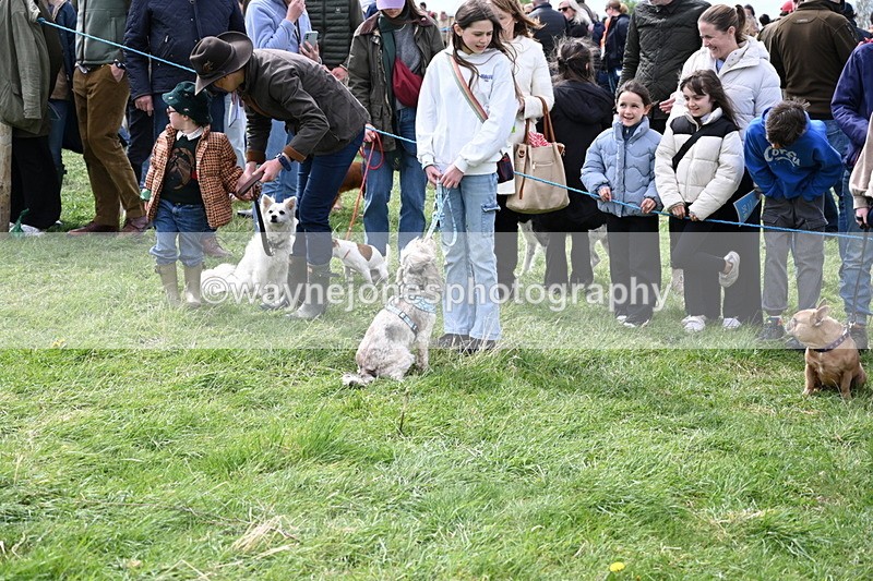 WJ6_8200 - Class 4 Prettiest Bitch