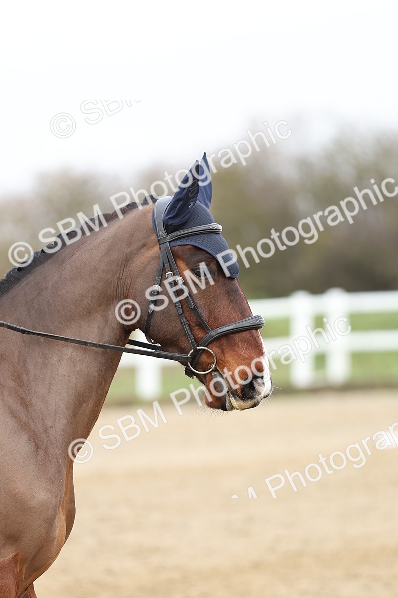 SBM_002137 - Prelim 1