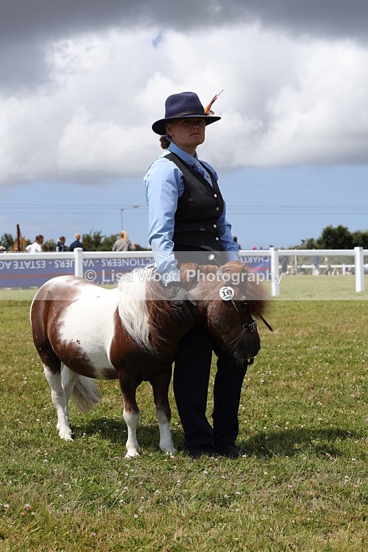 1X9A4854 - Class 35: Veteran In Hand