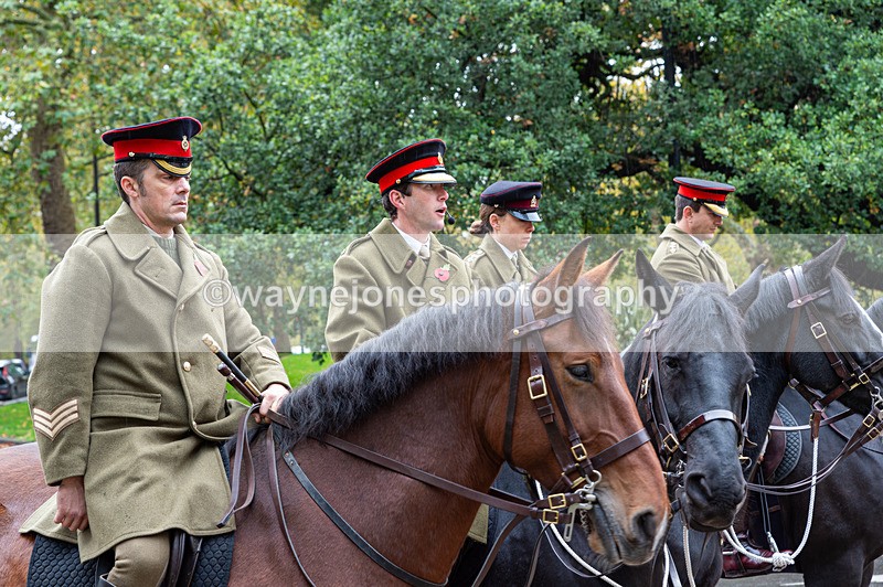 NGP_7120 - Animals In War Memorial - 10-11-23