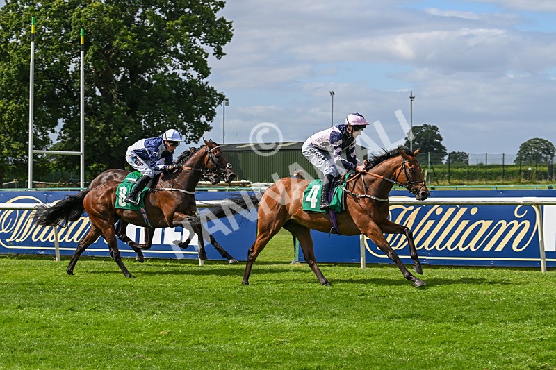 030824-Race 2-Barefoot Warrior-1528 - Race 2
