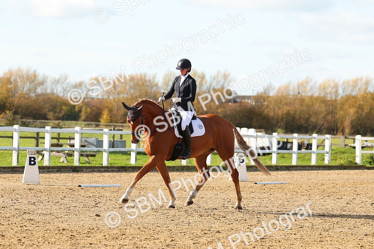 SBM_001165 - Novice 5