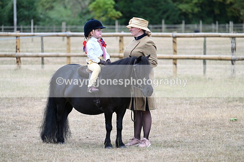 WJ7_8395 - Class 4 Prettiest Mare up to 14.2hh