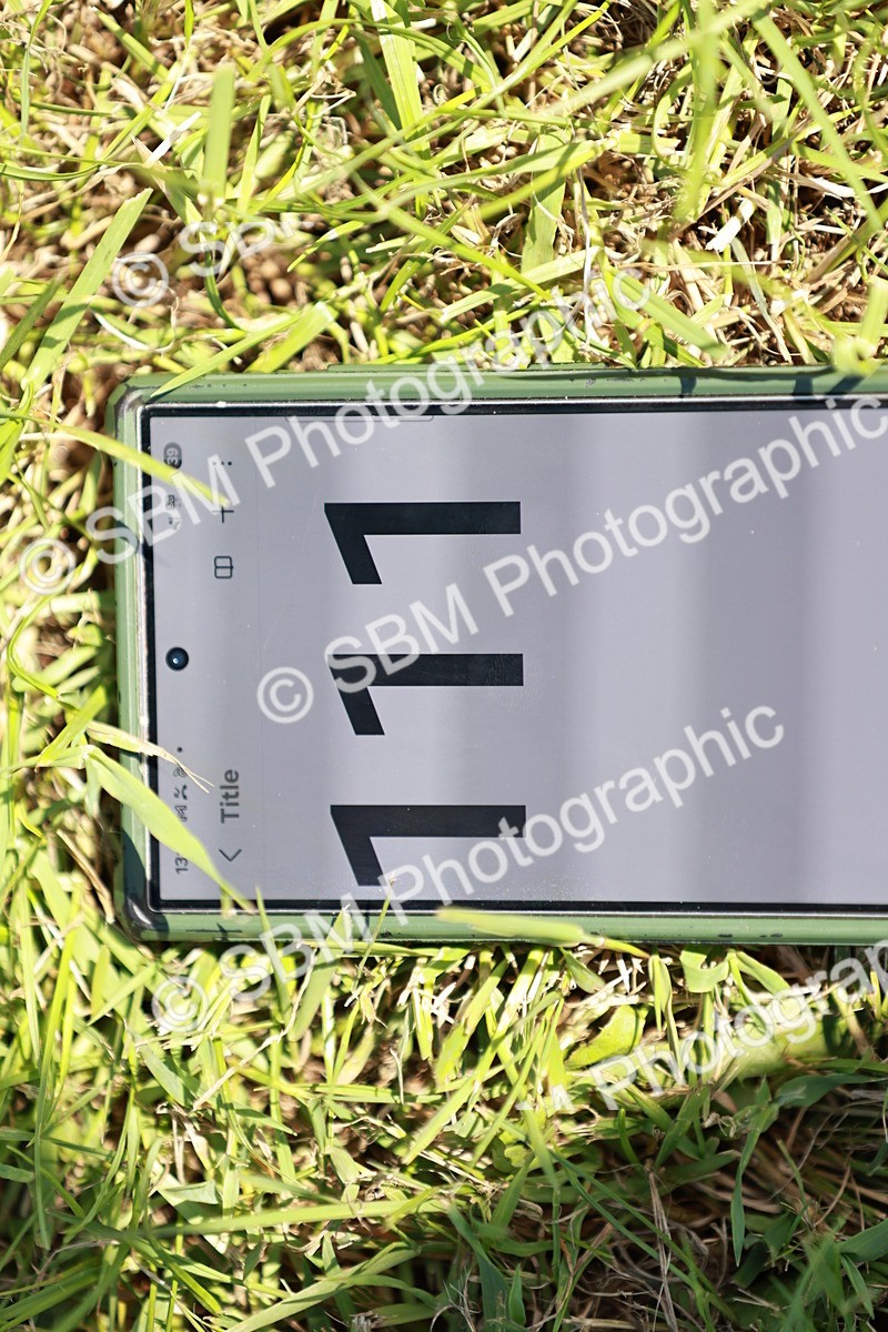 SBM_17347 - Class 110-111 - Training Stakes (70cms 80cms)