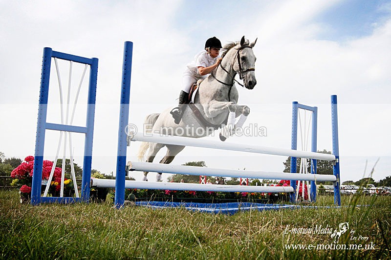 Eq 53 - Equestrian