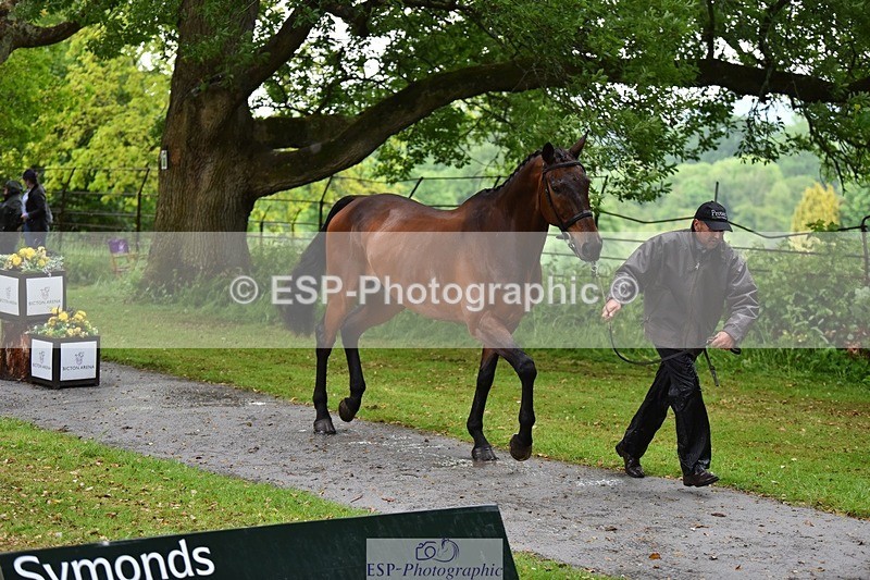 240522-153610-00466 - 379-TREBIFFIN-Neil_Fox