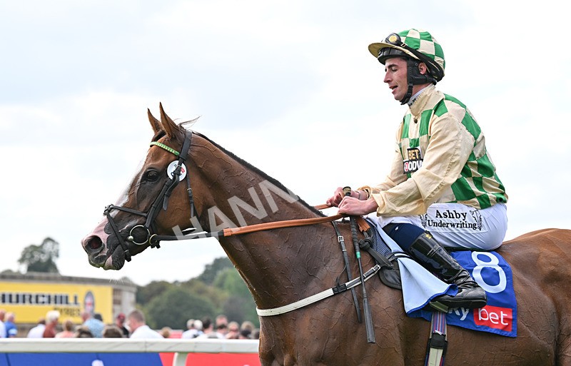 220826-149 Daiquiri Bay - Race 4 15.35pm Sky Bet Ebor Handicap