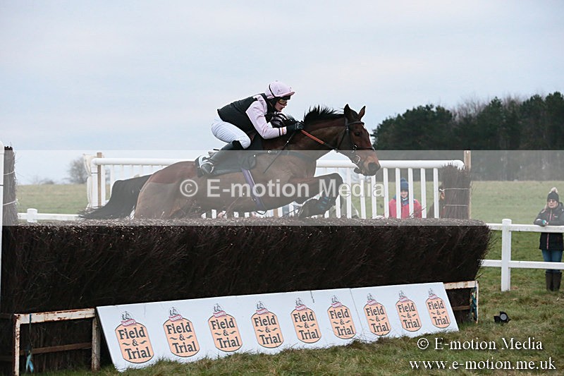 PtP 060119 596 - Larkhill Racing Club - Point-to-Point- 06/01/2019