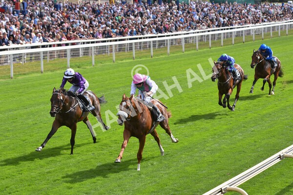 yr17082022r2-36 - Race 2 2.25pm Tattersalls Acomb Stakes