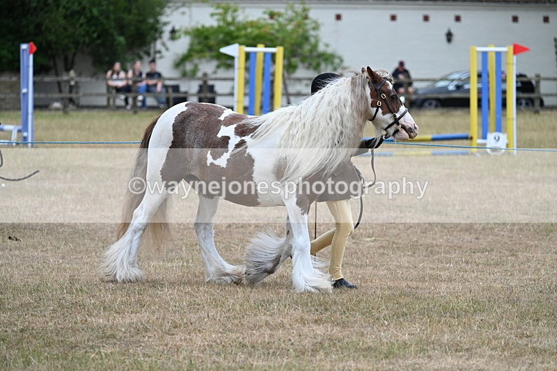 WJ7_8254 - Class 4 Prettiest Mare up to 14.2hh