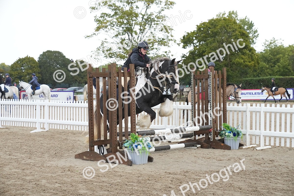 SBM_01585 - J54 - Clear Round 50cm