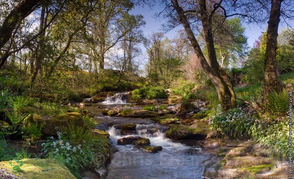 Nith Waterfall - Traditional Landscapes