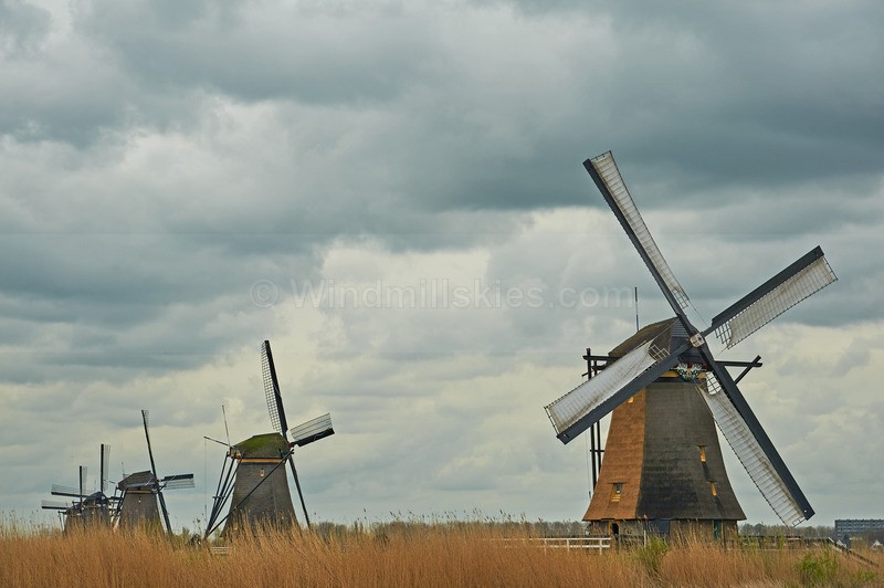  - Belgium and Netherlands