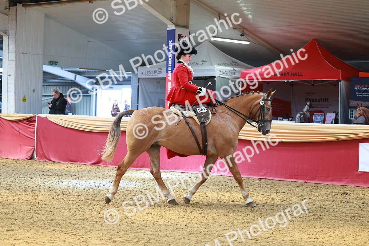 SBM_13862 - Class 106 - Ridden Costume - Side Saddle