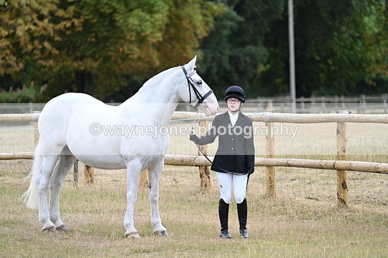 WJ7_8853 - Class 4a Prettiest Mare 14.2hh and over