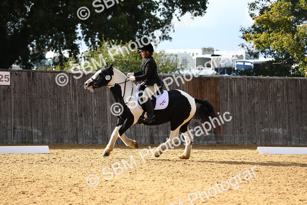 SBM_26742 - D11 - Small Tour Championship Prelim 1