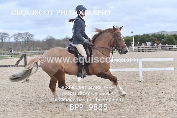 BPP_9885 - 60CM