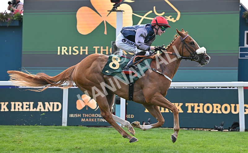 190826-228 Miss Yechance - Race 6 16.45pm Irish Thoroughbred Marketing Handicap