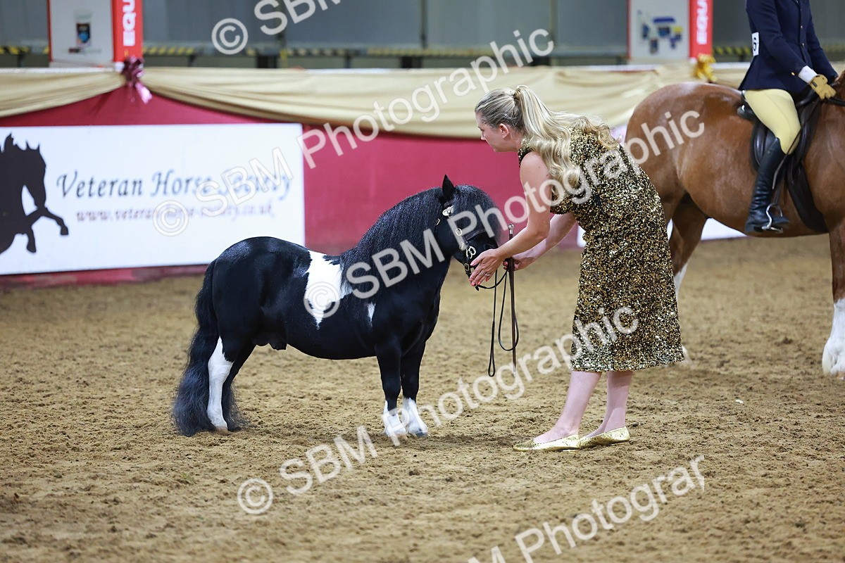 SBM_15276 - Class P - M&M Champ