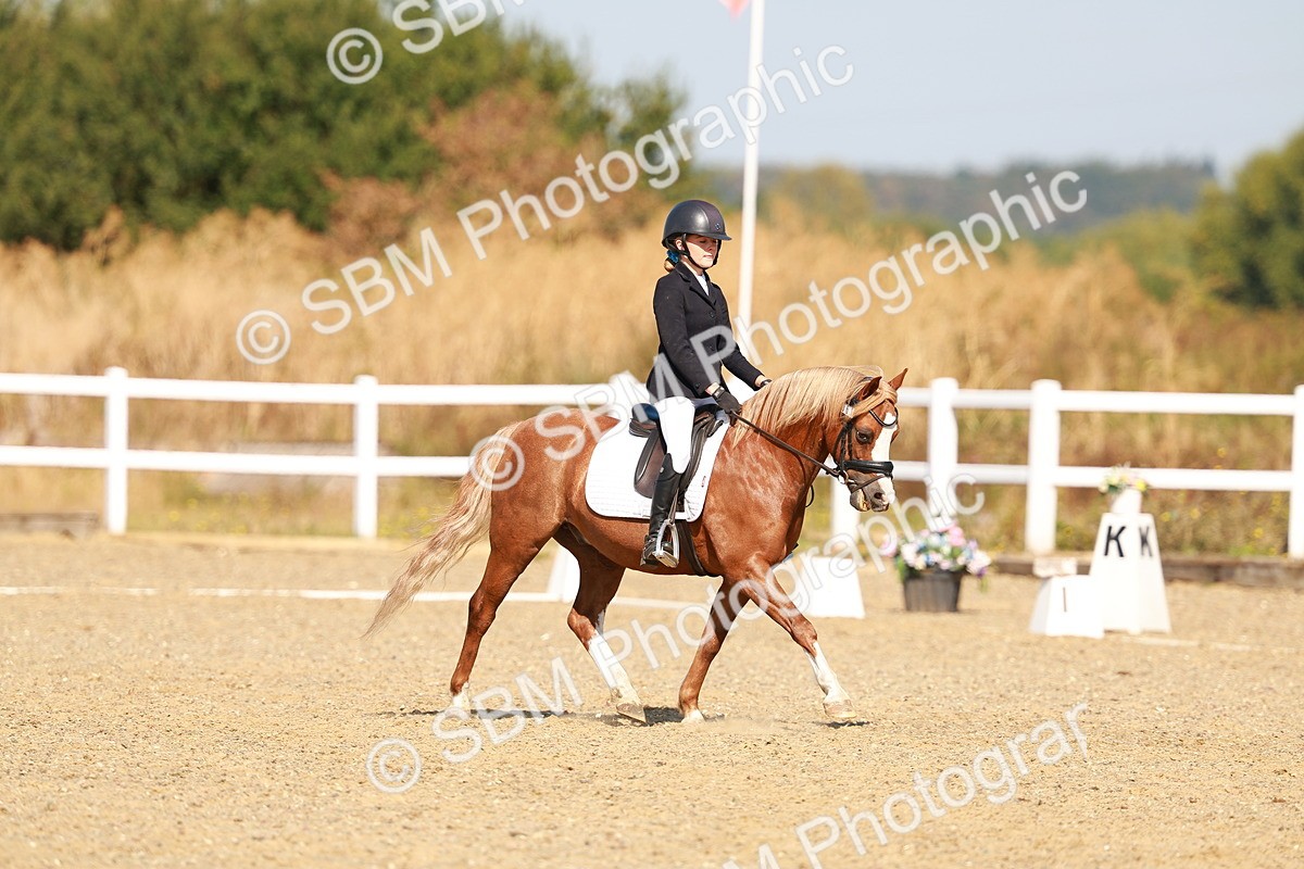 SBM_017583 - Class 9 - N5 Bronze 10.33.11.36