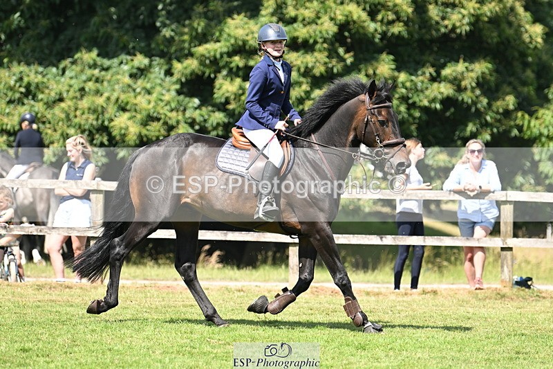 250704A-105049-07079 - Cls 25 Snr British Novice and 90cm