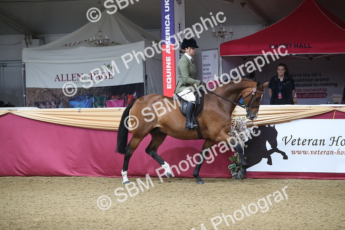 SBM_10329 - Class 102 Equitation (best rider) Adult