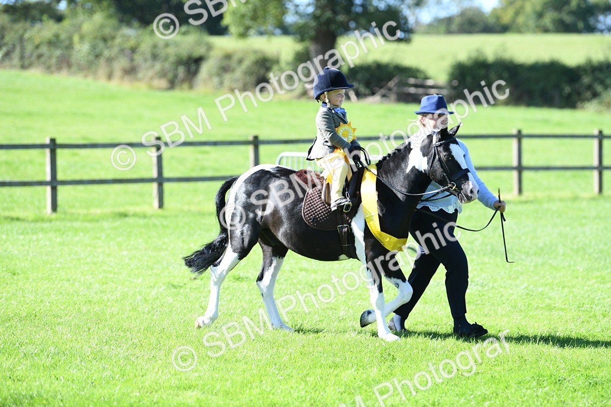 SBM_37098 - S18 - Novice & Newcomers Lead Rein Pony